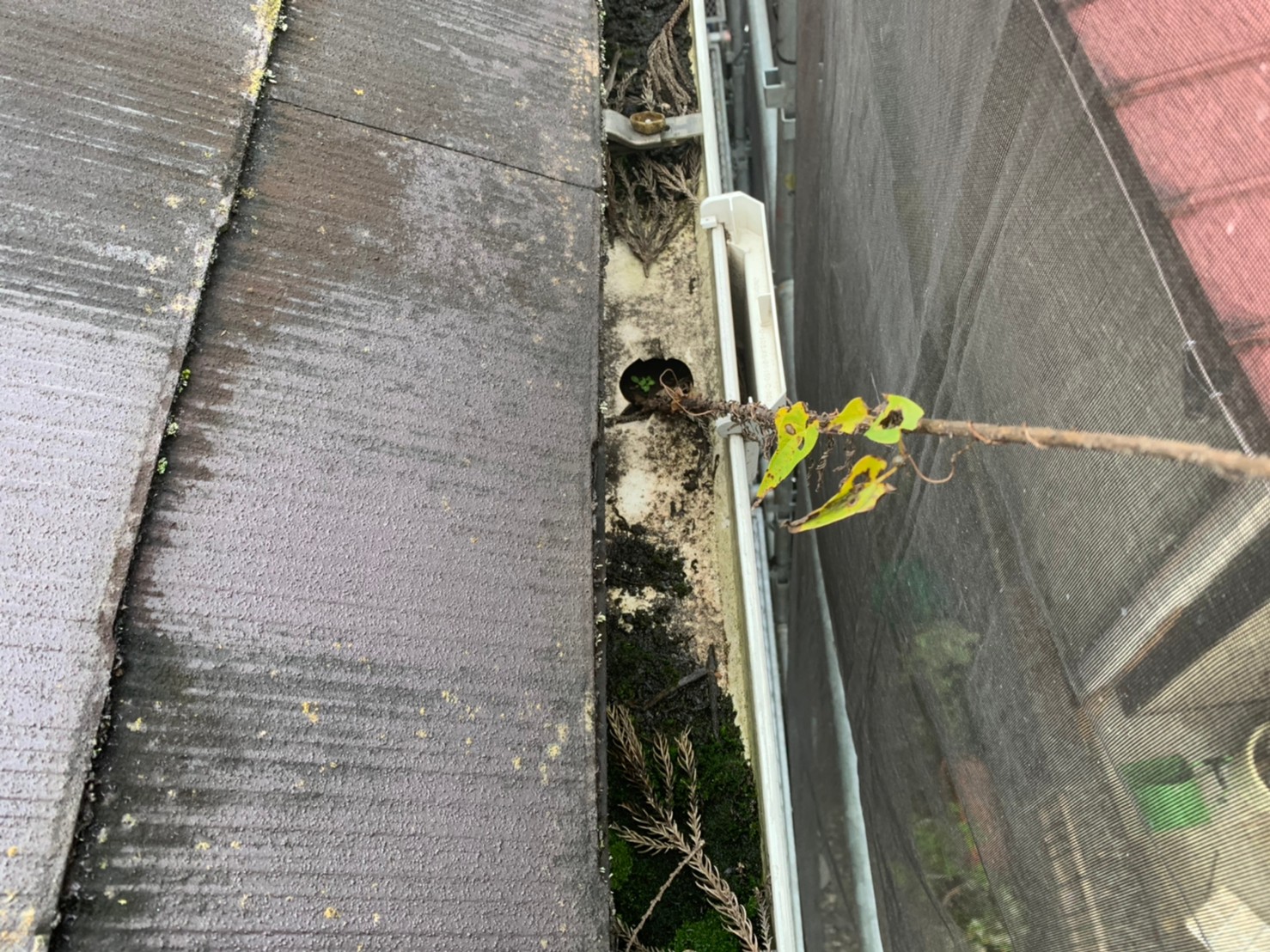 東京都青梅市K様邸 屋根・外壁塗装工事